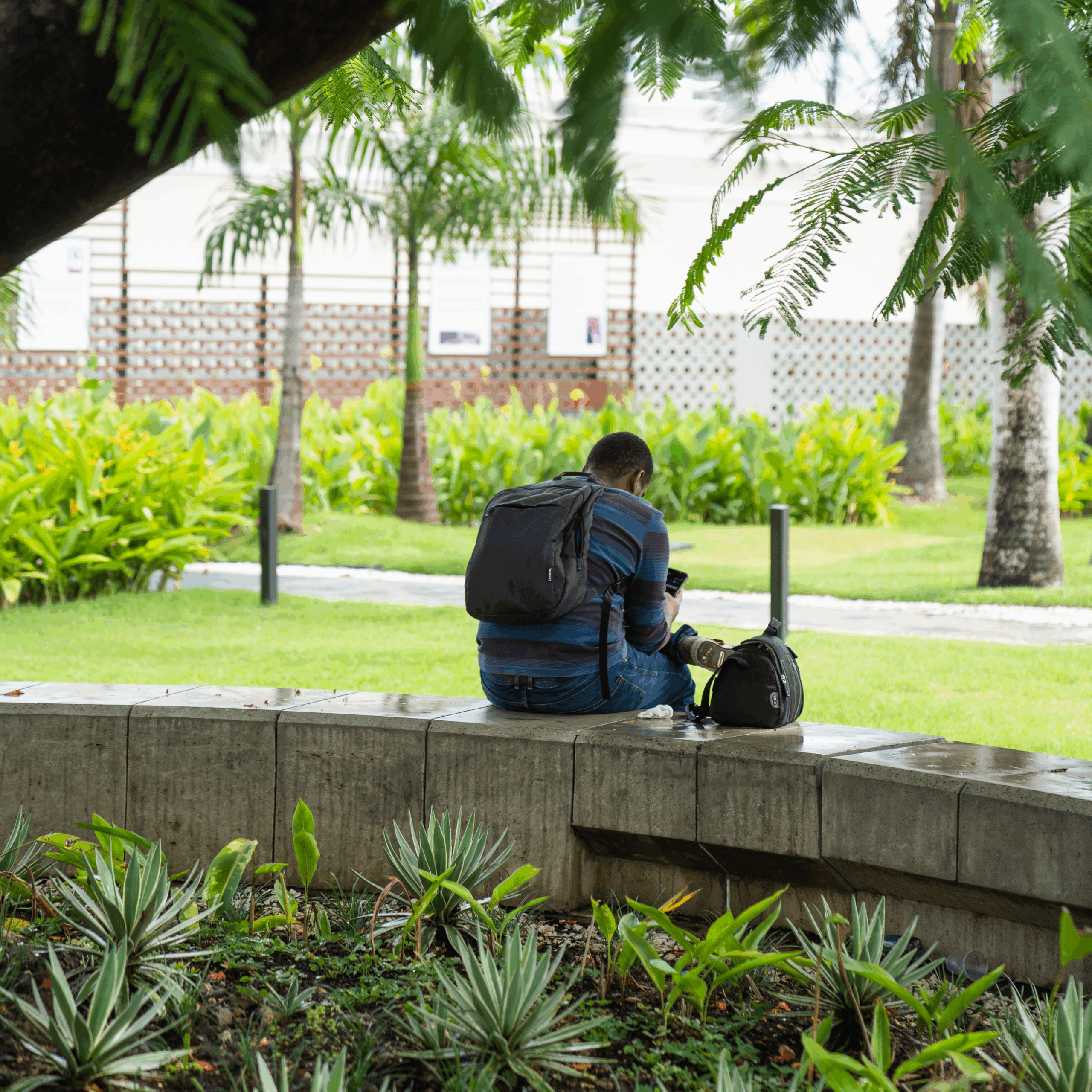 "Mobiliario urbano para disfrute y descanso de empleados y peatones"